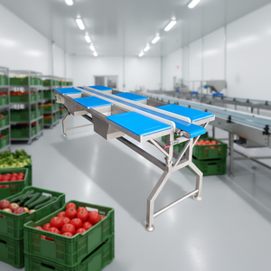 Vendita Diretta dalla Fabbrica, Tavoli di Smistamento Personalizzabili a Quattro o Sei Postazioni per la Lavorazione di Frutta e Verdura - Product Image 1
