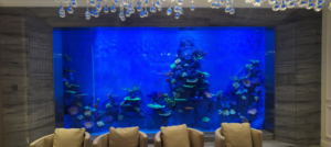 ホテル・民宿・別荘用 カスタマイズ可能 220V 透明大型アクリル水槽 観賞魚用タンク - Product Image 6