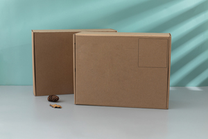 Tùy Chỉnh In Tự Niêm Phong Các Tông Sóng Hộp Bưu Phẩm Tái Chế Giấy Kraft Với Dính Tear Dải Cho Giày Dép Và Quần Áo - Product Image 6