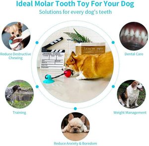 Jouets pour chiens agressifs, durables, écologiques, interactifs, avec ventouse, pour mâcher et nettoyer les dents, jouet multifonctionnel - Product Image 3