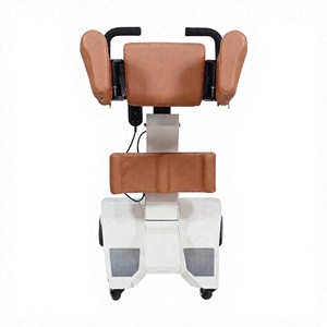 Palans électriques légers 100 kg pour personnes âgées - Élévateur compact certifié ISO pour petits espaces (Japon, Corée) - Product Image 1