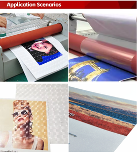 ฟิล์มตกแต่งลายโฮโลแกรมแบบโปร่งใส ฟิล์มเคลือบเย็น วัสดุสำหรับงานพิมพ์ - Product Image 5