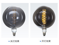 Lumière flexible à filament LED de couleur fumée surdimensionnée, double hélice, options G150 G200 2w-9w, E12 B22 G9 G4, aluminium, décoration intérieure