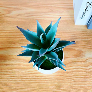 Plante succulente artificielle en pot, gladiolus à 6 niveaux, bonsaï en PVC souple, décoration d'intérieur, accessoires de mariage - Product Image 4