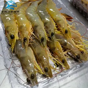 批发价格虾食品IQF vannamei美味冷冻海鲜虾