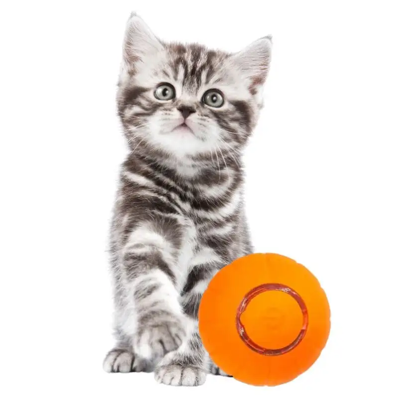 Shengfeng mainan bola bergulir elektrik, Senter LED interaktif cerdas tiga mode tipe-c aksesoris mainan kucing