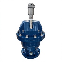 Vanne de purge rapide en fonte ductile DN80 PN16 avec flotteur en acier inoxydable 304 et joint d'étanchéité NBR