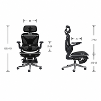 Chaise de bureau ergonomique moderne en maille nylon avec appui-tête 5D, soutien lombaire réglable, accoudoirs en PU et repose-pieds extractible pour bureau à domicile