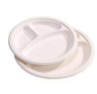 Assiette de pulpe de canne à sucre biodégradable à 3 compartiments de 10 pouces Vaisselle jetable compostable