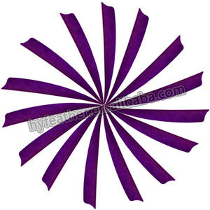 Flecha de tiro <span class=keywords><strong>con</strong></span> arco de ala Natural Real mixta, paletas Fletching, pluma de pavo para DIY, tiro <span class=keywords><strong>con</strong></span> arco, caza, tiro al blanco, accesorio de flecha - Product Image 3