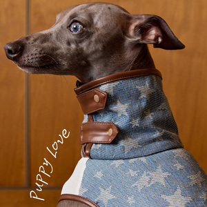 Elegante Tuta per <span class=keywords><strong>Cani</strong></span> in Denim di Cotone e Poliestere con Motivo a Stelle e Finiture in Ecopelle per <span class=keywords><strong>Cani</strong></span> di Taglia Grande - Product Image 3
