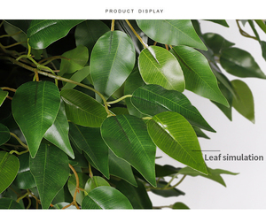 QiHao-Planta Artificial <span class=keywords><strong>Ficus</strong></span> Microcarpa Banyan, árbol bonsái, tamaño personalizado para decoración de interiores - Product Image 4