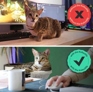 New Arrival <strong>Cat</strong> Desk <strong>Bed</strong> Adjustable <strong>Cat</strong> Shelf <strong>Bed</strong> Perfect <strong>Cat</strong> Hammock <strong>Beds</strong> Supports up to 50lbs <strong>for</strong> Your Desk - Product Image 4