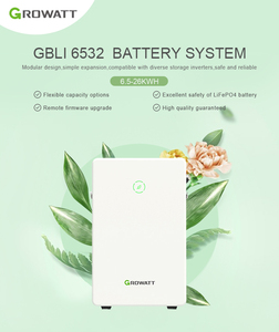 Rising solar 48V 51,2 V Proveedor de China Batería de crecimiento <span class=keywords><strong>GBLI6532</strong></span> LiFePO4 Paquete de batería para sistema de energía solar - Product Image 5