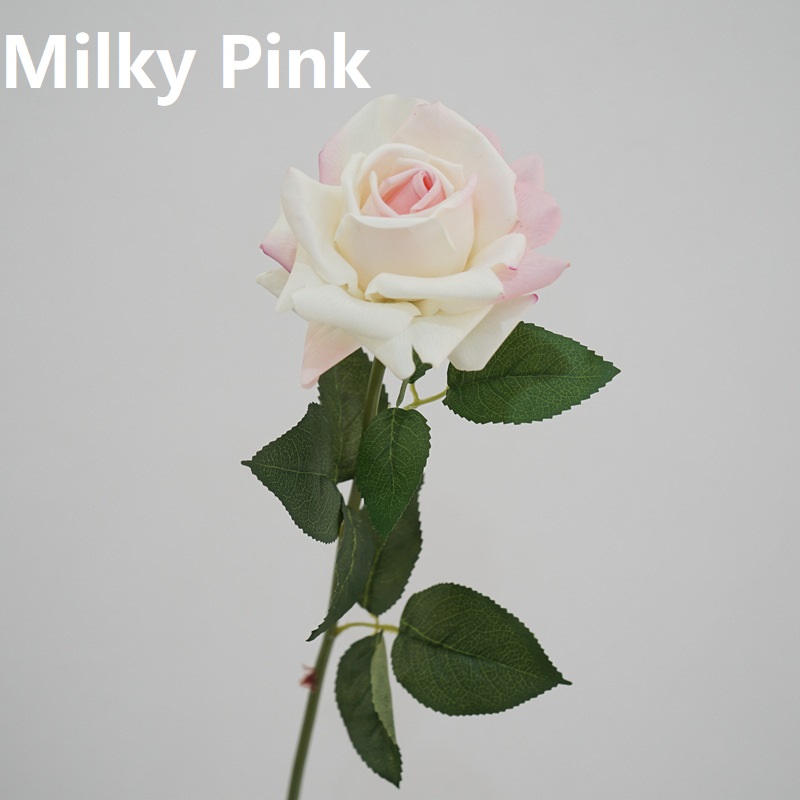 Rosa latte