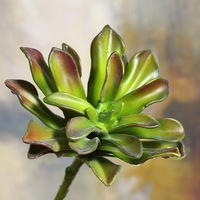 Tiges de succulentes artificielles réalistes Echeveria, fausses tiges de lotus en pierre 22 cm pour la décoration de vases, tables, maisons, bureaux et postes de travail