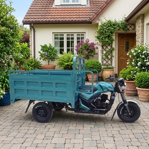 Triciclo <span class=keywords><strong>de</strong></span> Carga Motorizado <span class=keywords><strong>de</strong></span> 250cc, Potente, <span class=keywords><strong>de</strong></span> Gasolina, Diseño <span class=keywords><strong>de</strong></span> Carrocería Abierta, Alta Capacidad <span class=keywords><strong>de</strong></span> Carga, Transporte Rentable para Adultos - Product Image 1
