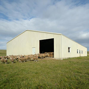 Bâtiment préfabriqué en métal à <span class=keywords><strong>construction</strong></span> rapide et économique pour poulailler, abri en structure acier pour élevage <span class=keywords><strong>de</strong></span> porcs et <span class=keywords><strong>de</strong></span> vaches, <span class=keywords><strong>construction</strong></span> <span class=keywords><strong>de</strong></span> ferme - Product Image 6