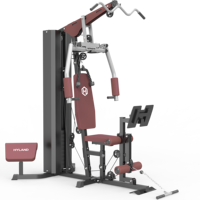 Équipement de musculation multifonctionnel professionnel pour la maison, station d'entraînement tout-en-un pour la musculation