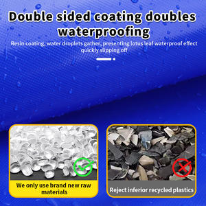 Bâche en PVC pour bassin à poissons, robuste, économique, pour l'élevage de tilapias et de poissons-chats en Afrique, taille personnalisée - Product Image 6