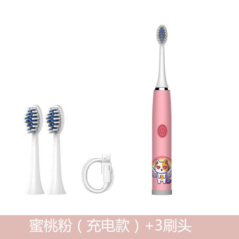 Tête de brosse modèle 3, 14 poudres de pêche