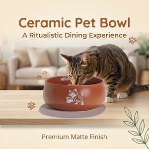 Ciotola per Animali Domestici in Ceramica Opaca, Non Porosa, Antibatterica, Anti-Macchia, Antiscivolo, 1100ml, Grande Capacità, per Cani e Gatti, Personalizzabile OEM - Product Image 2