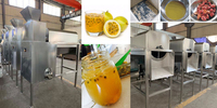 Fruitplant Passievruchtensap Zaad Extractor Machine Tomatenpulp Machine Passievruchtensap Zaden Extractor Machine