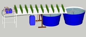 Commercieel Aquaponics Systeem Voor Vis En Plantengroei Pvc Bodemloze Cultuur Systeem Voor Groenten En Vis Die Samen Groeien - Product Image 6