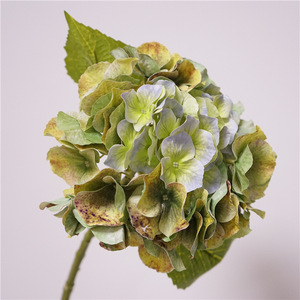 H-763 Thiết Kế Mới Bất Cảm Ứng Tú Cầu Hoa Nhân Tạo Lớn Hoa Tú Cầu Hoa Nhân Tạo Đám Cưới Cao Su Trắng Màu Xanh Lá Cây Hortensia - Product Image 4