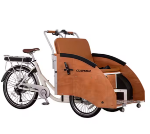 Vélo cargo électrique à assistance électrique pour adultes, avec moteur 36V 250W, tricycle à batterie au lithium et cadre en acier – Offre spéciale - Product Image 3