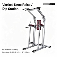 Offre Spéciale : Station Commerciale Multifonctionnelle pour Tractions, Abdominaux, Relevé de Jambes et Musculation du Torse et du Dos – Équipement de Force pour Salle de Sport – Direct Usine