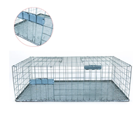 Piège à pigeons professionnel - Cage en fil métallique robuste pour attraper les oiseaux vivants avec porte automatique - pour toit/balcon