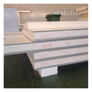 Panneaux/Plaques Sandwich Isolants en Mousse de <span class=keywords><strong>Polyuréthane</strong></span> (PUR/PIR/PUF) pour Chambres Froides et Entrepôts de Stockage de Légumes, 50/75/<span class=keywords><strong>100</strong></span>/150mm, Congélateur - Product Image 6