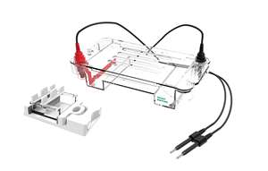 BIOSTELLAR, tanque de electroforesis horizontal, suministros de laboratorio, serie de equipos, precio de distribuidor, - Product Image 5