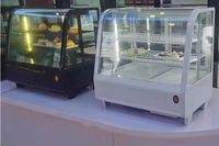 Réfrigérateur-congélateur mini 100L à température unique, refroidisseur d'air, vitrine réfrigérée à 2 portes à refroidissement direct, dégivrage automatique