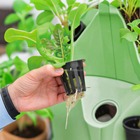 Système d'aéroponie et d'hydroponie intérieur pour serre, Tour de culture verticale pour ananas, Solutions de culture hydroponique verticale