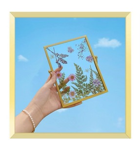 Picture <strong>Frame</strong> Gold Metal Floating Pressed Glass with Metal 4x6 <strong>5x7</strong> 6x8 High Quality Iron <strong>Photo</strong> <strong>Frame</strong> - Product Image 5