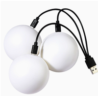 Balle de jonglage en plastique lumineuse ARYDA LED 65 mm avec câble de charge USB pour jeu parent-enfant nocturne en extérieur, emballage en sac en filet