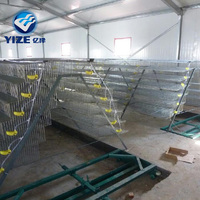 Cages à cailles de haute qualité, conception automatique de cages à cailles