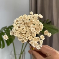 Ventes d'usine vente chaude mini fleurs de petites étoiles brésiliennes séchées pour les arrangements floraux à la maison et les décorations de Noël