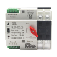 Interruptor de transferencia automática de riel Din de 220/230V (ATS) Conmutación de nivel de milisegundos CB PC protección contra cortes de energía para RED/generador