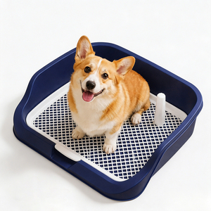 Bandeja de entrenamiento para perros Polonia Stock, 50x45cm, con protector antisalpicaduras de borde alto y rejilla extraíble, fácil de limpiar, Dropshipping UE - Product Image 1