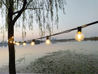Guirnalda de Luces LED G40 de 25 Pies, 50 Pies, 100 Pies, Luces de Exterior con Bombillas Resistentes a los Golpes, Guirnalda Decorativa para Exteriores