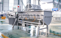 2000Kg/u Groentebladeren Reinigings- en Wasmachines Spinazie Snijmachine Groente Droogmachine Productielijn voor Verse Salades