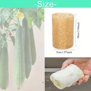 Esponja natural de lufa redonda de 10 cm con cuerda, almohadilla de limpieza para lavar platos, ollas y sartenes. - Product Image 2