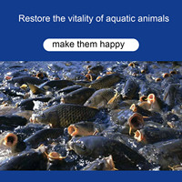 Brique de probiotiques fermentés à base de bactéries lactiques pour l'aquaculture, amélioration de la qualité de l'eau, croissance des poissons et des crevettes, additif alimentaire
