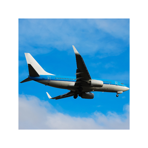 การจัดส่งสินค้าถึงบ้านราคาไม่แพงมากที่สุดบริษัทขนส่งทางอากาศระหว่างประเทศขนส่งจากจีนไปยังอังกฤษ - Product Image 1