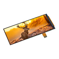 Layar Sentuh LCD 4,8 Inci dengan Resolusi 480x1120 dengan MIPI 2 jalur
