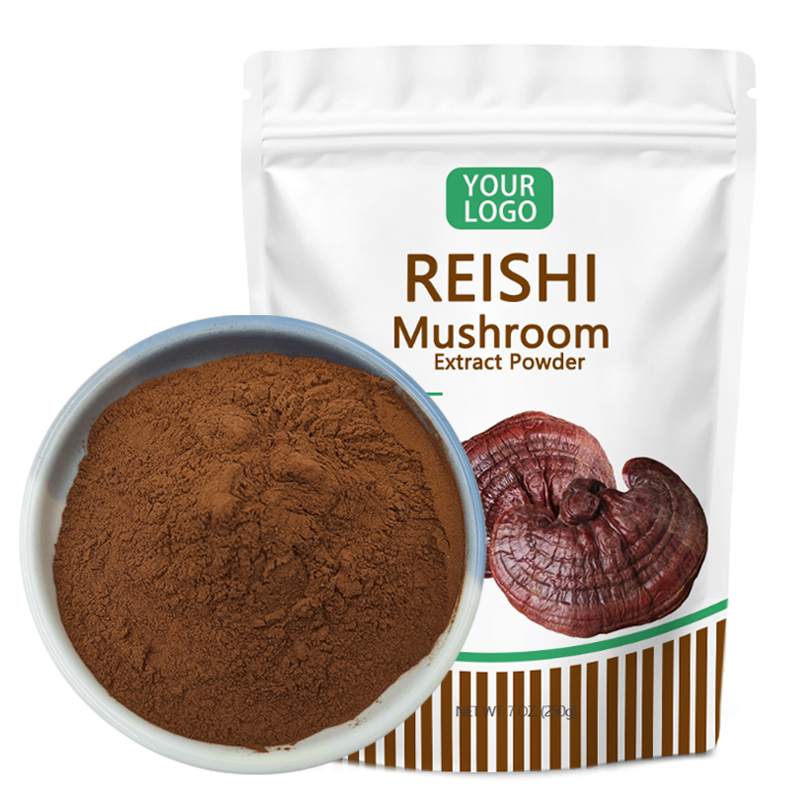 Puur Natuurlijke Ganoderma Lucidum Poeder Reishi Paddestoel Extract Poeder Organische Reishi Paddestoel Poeder