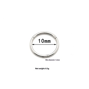 European American Seamless Ring Multi-Purpose Trendy Earrings Stainless Steel Fashion Hoop Earings <strong>Wholesale</strong> Cross-Border <strong>Supply</strong> - Product Image 1